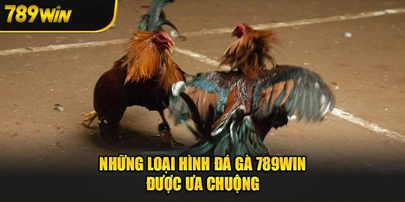 Thoải mái lựa chọn loại hình chọi kê bạn yêu thích