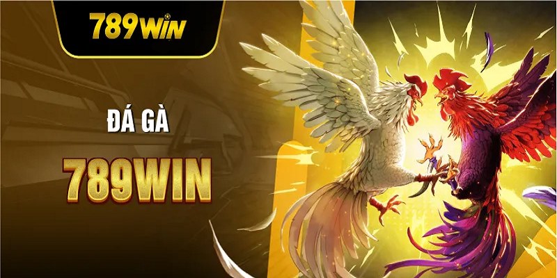 Đá gà 789win là thiên đường cá cược lý tưởng nhất